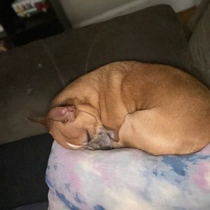 Meet your Posher, Ian